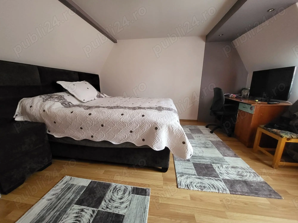 Casa cu 6 camere piscina si pivnita in Turnisor