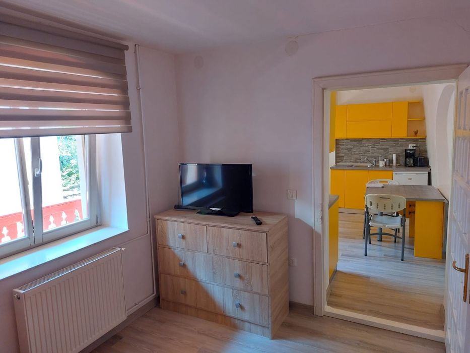 Apartament 1 camera 25 Mpu Zona 0