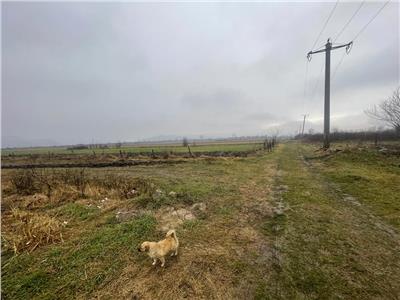 Teren extravilan 2500 mp in Rm Valcea zona Colonie Nuci