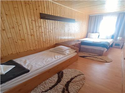 Cabana cu 7 camere piscina si 2300 mp teren pe Valea Avrigului