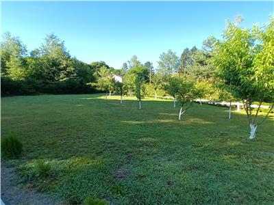 Cabana cu 7 camere piscina si 2300 mp teren pe Valea Avrigului
