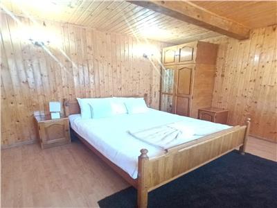 Cabana cu 7 camere piscina si 2300 mp teren pe Valea Avrigului