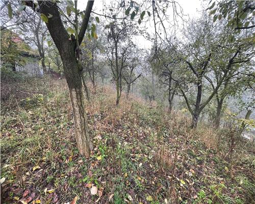 Casa individuala cu 6 camere si 3 bai si 1413 mp teren in Blaj