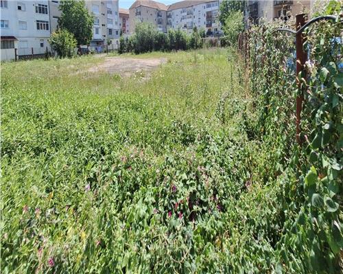 Spatiu comercial/industrial cu destinatie multipla in Strand