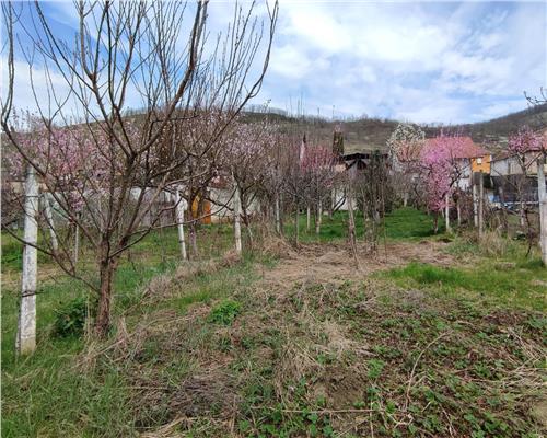 Casa cu 4 camere 2 bai si 900 mp teren in Seica Mica