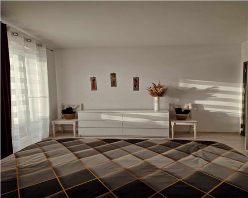 Penthouse 2 camere cu terasa de 40 mp in Turnisor