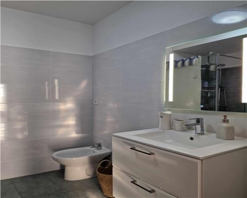 Penthouse 2 camere cu terasa de 40 mp in Turnisor
