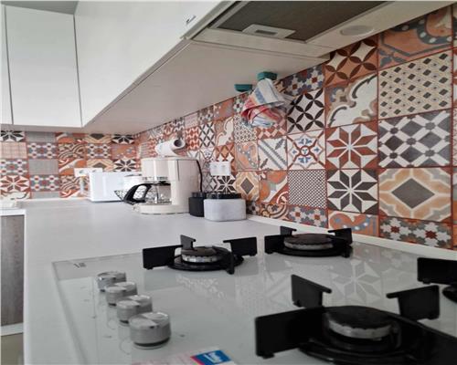 Penthouse 2 camere cu terasa de 40 mp in Turnisor