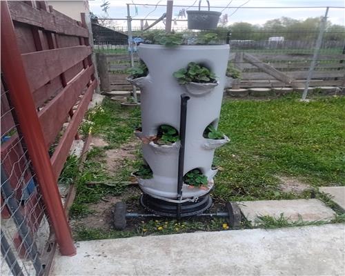 Casa individuala cu 4 camere 600 mp in Cristian