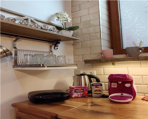 Studio modern cu gradina si balcon inchis in zona Centrala
