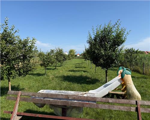 Casa moderna cu 4 camere 2 bai si 831 mp teren in Sura Mica