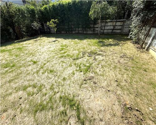Casa 3 camere cu pivnita si teren 500 pretabila sediu firma Rahovei