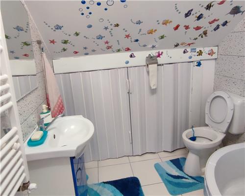 Casa individuala 5 camere terasa acoperita 3 bai si 458 mp teren in Cristian