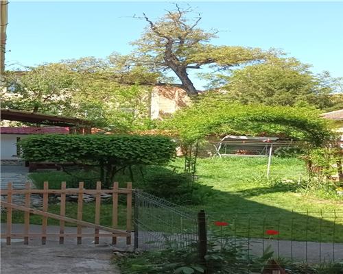 Apartament 2 camere terasa 10 mp  pe Gheorghe Lazar