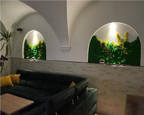 Apartament de lux cu terasa zona Piata Mare