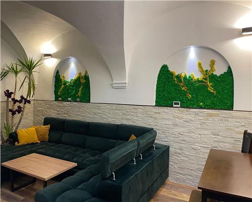 Apartament de lux cu terasa zona Piata Mare