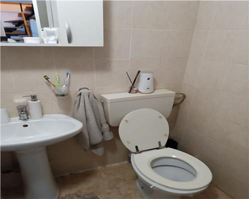 Apartament 2 camere mansarda Terezian
