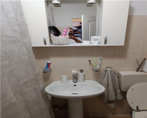 Apartament 2 camere mansarda Terezian