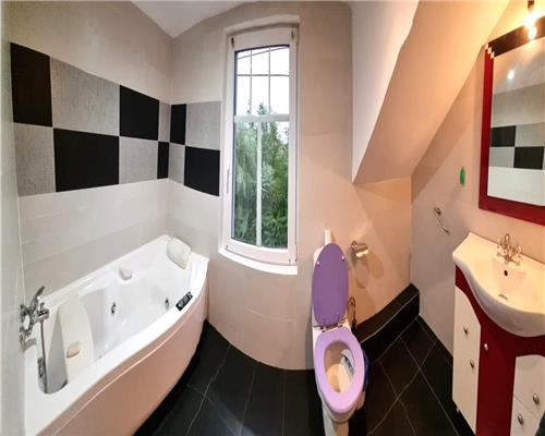 Casa individuala 4 camere 2 bai si garaj de inchiriat in Gusterita