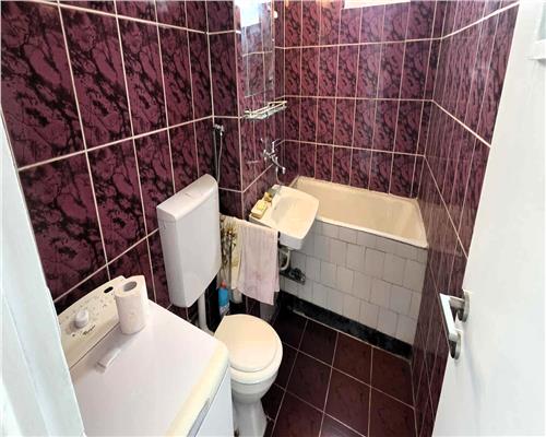 Apartament cu 2 camere renovat zona Terezian