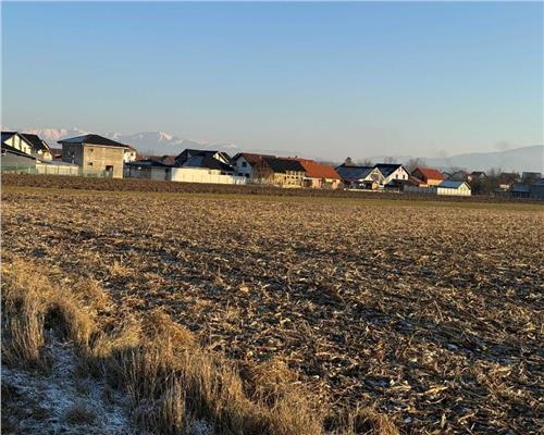 Teren intravilan 7250 mp in Cristian