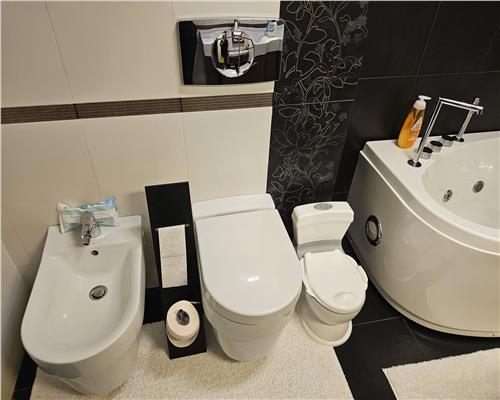 Apartament de lux 74 mp etaj 1 cu balcon si parcare Turnisor