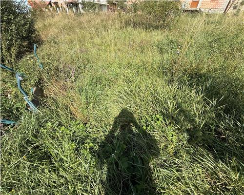Casa individuala cu 2 camere si 495 mp teren in Sura Mare