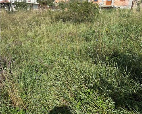 Casa individuala cu 2 camere si 495 mp teren in Sura Mare