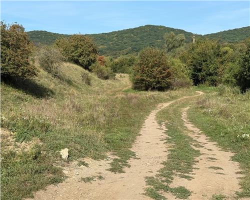 Teren extravilan 40.000 mp sau 80.000 mp in Gusterita