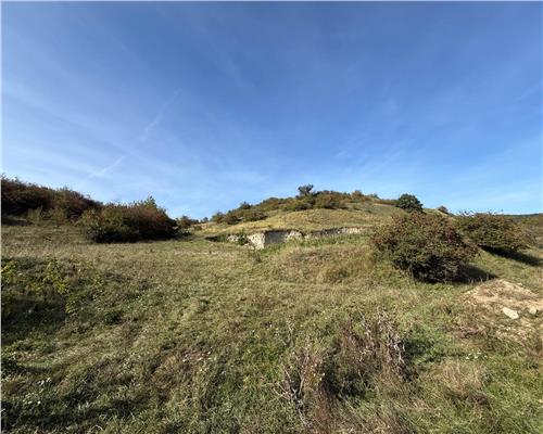 Teren extravilan 40.000 mp sau 80.000 mp in Gusterita