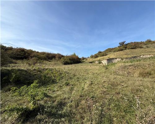 Teren extravilan 40.000 mp sau 80.000 mp in Gusterita
