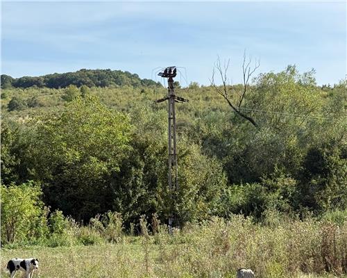 Teren extravilan 40.000 mp sau 80.000 mp in Gusterita