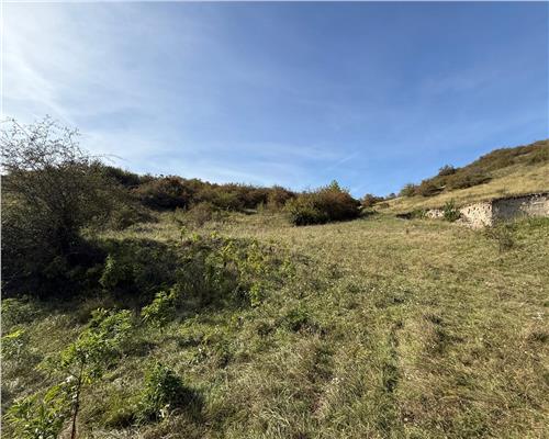 Teren extravilan 40.000 mp sau 80.000 mp in Gusterita