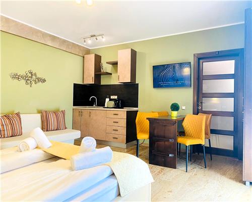 Studio de lux 40 mp cu balcon in zona Centrala