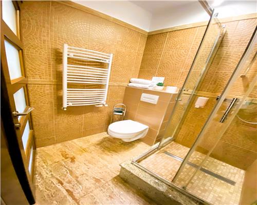 Studio de lux 40 mp cu balcon in zona Centrala