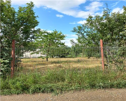 Teren cu pomi fructiferi in zona Turnu-Rosu