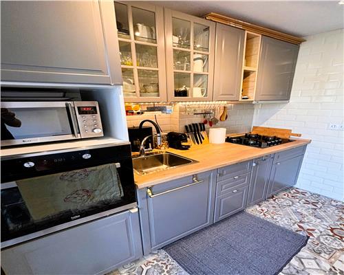 Apartament 2 camere complet renovat si mobilat in Terezian