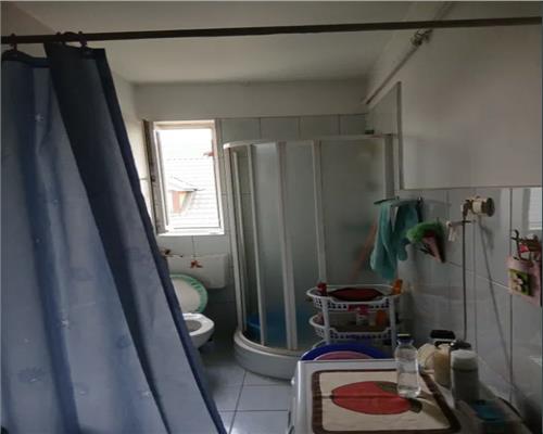 Apartament Calea Dumbravii 113 mp curte si pod mansardabil 150 mp