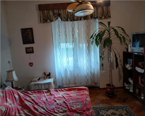 Apartament Calea Dumbravii 113 mp curte si pod mansardabil 150 mp