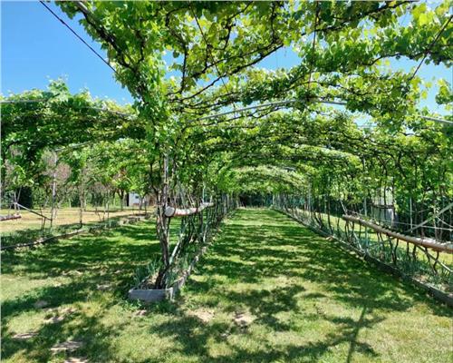 Teren intravilan 2154mp in zona Padurea Dumbrava