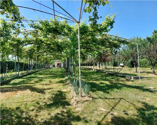 Teren intravilan 2154mp in zona Padurea Dumbrava