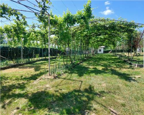 Teren intravilan 2154mp in zona Padurea Dumbrava