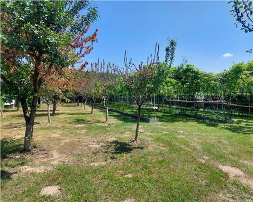 Teren intravilan 2154mp in zona Padurea Dumbrava