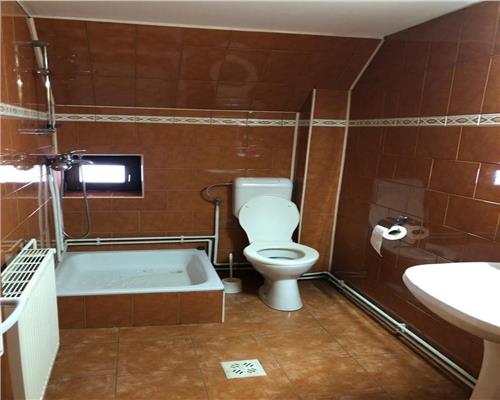 Vila moderna complet utilata 6 camere 5 bai si 377 mp teren in Paltinis