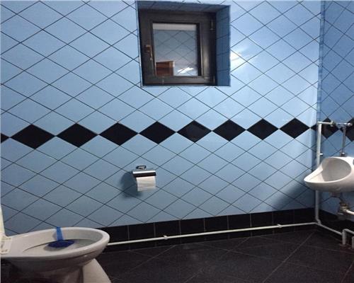 Vila moderna complet utilata 6 camere 5 bai si 377 mp teren in Paltinis