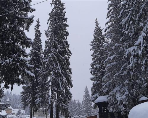 Vila moderna complet utilata 6 camere 5 bai si 377 mp teren in Paltinis