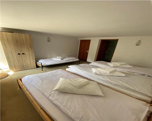 Vila moderna complet utilata 6 camere 5 bai si 377 mp teren in Paltinis