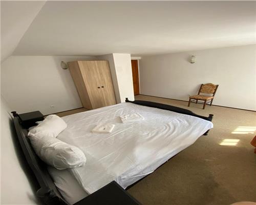 Vila moderna complet utilata 6 camere 5 bai si 377 mp teren in Paltinis