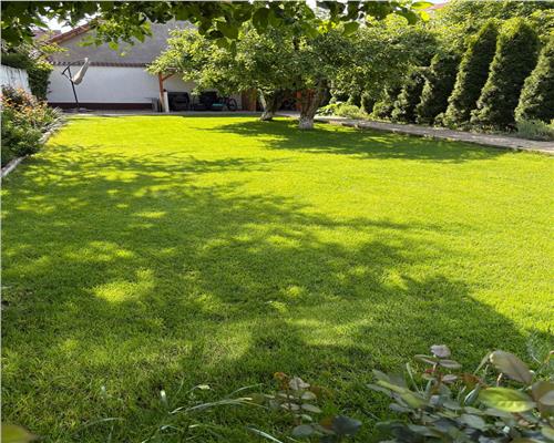 Casa individuala moderna 5 camere si curte 450 mp pe Calea Poplacii