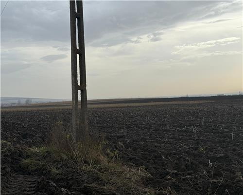 Teren extravilan in EXCLUSIVITATE 20300 mp in Sura Mica